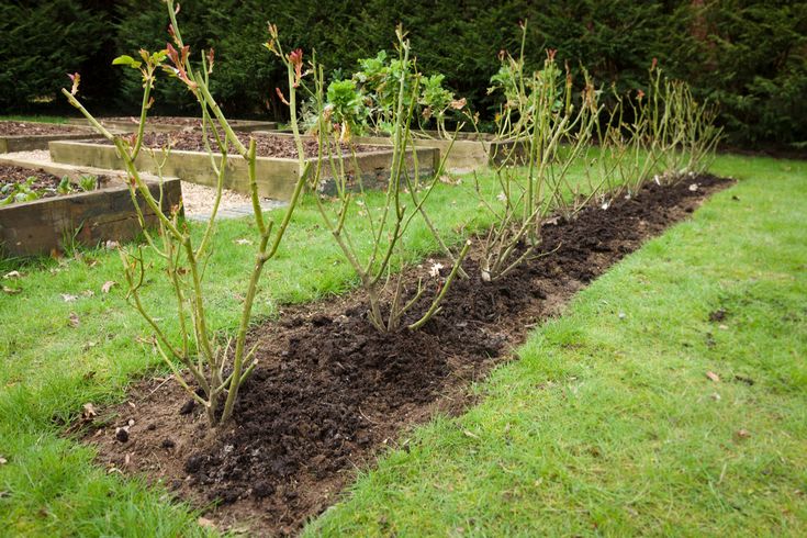 the garden is ready to be planted and put into the ground with dirt on it