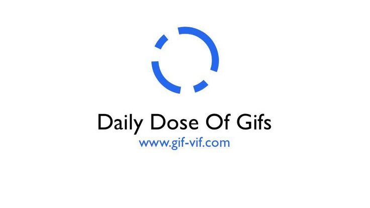 Daily Dose Of Gifs