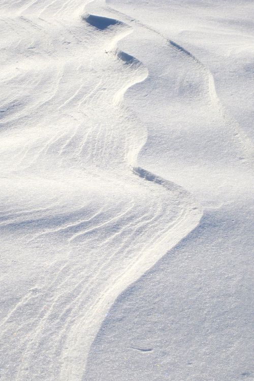 the tracks in the snow are made by skiiers