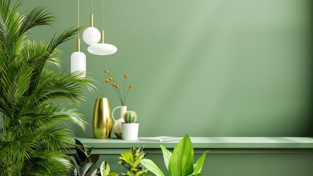 some plants are sitting on a shelf in front of a green wall with gold and white vases