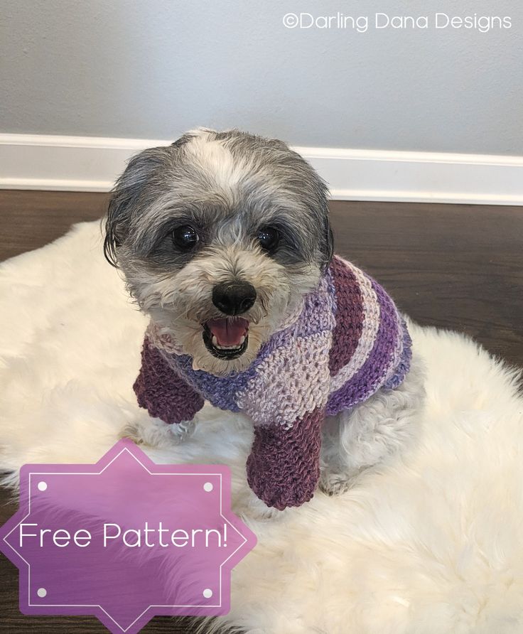 a small dog wearing a sweater sitting on top of a white fur covered floor next to a purple sign that says free pattern