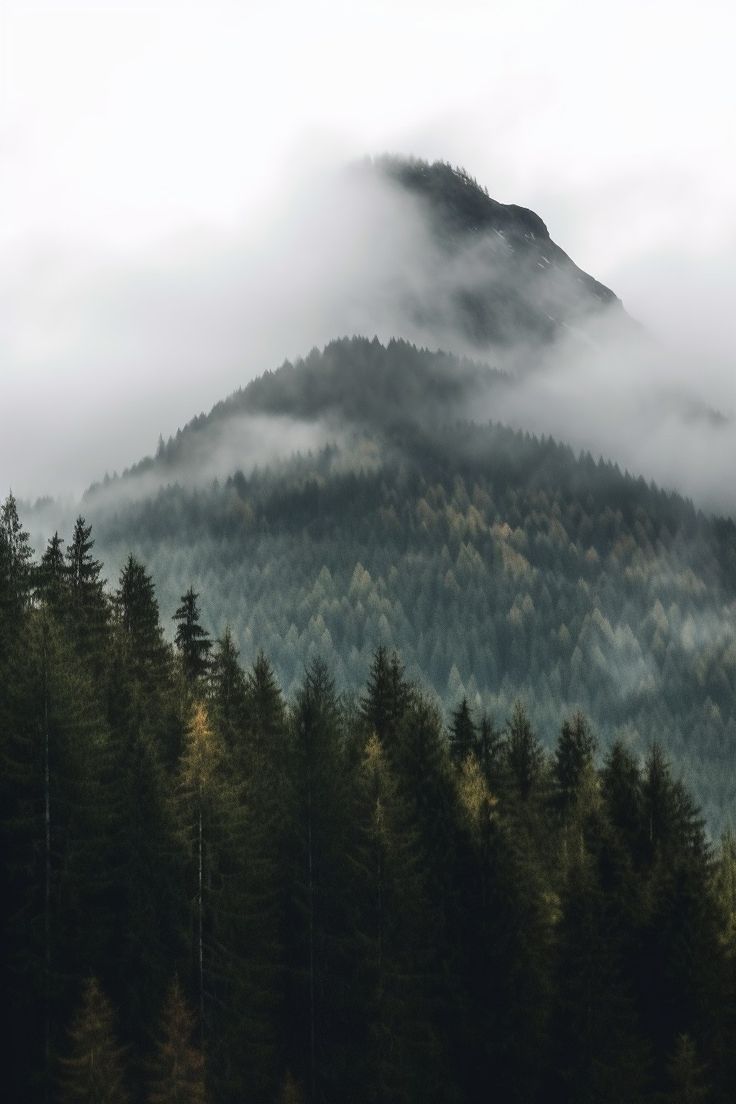 the mountain is covered in fog and low lying clouds, with trees on both sides