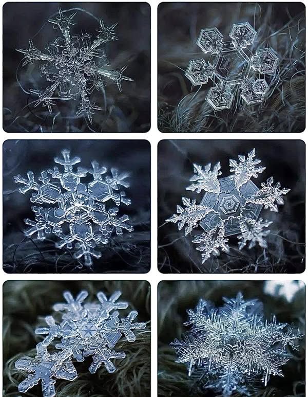 four pictures of snowflakes in different stages of formation and shape, all showing the same amount of snow flakes