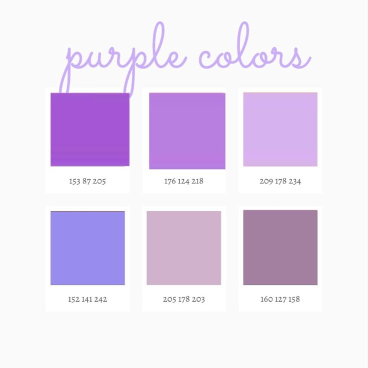 the purple color scheme is shown in different shades