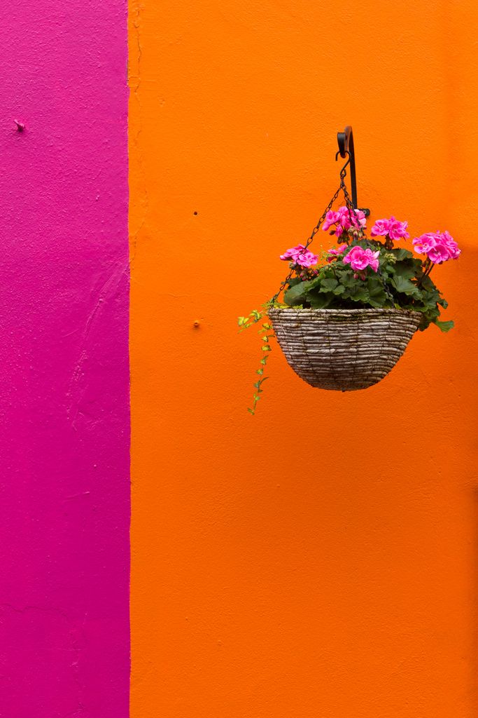 an orange and pink wall with a planter hanging from it's side against the wall