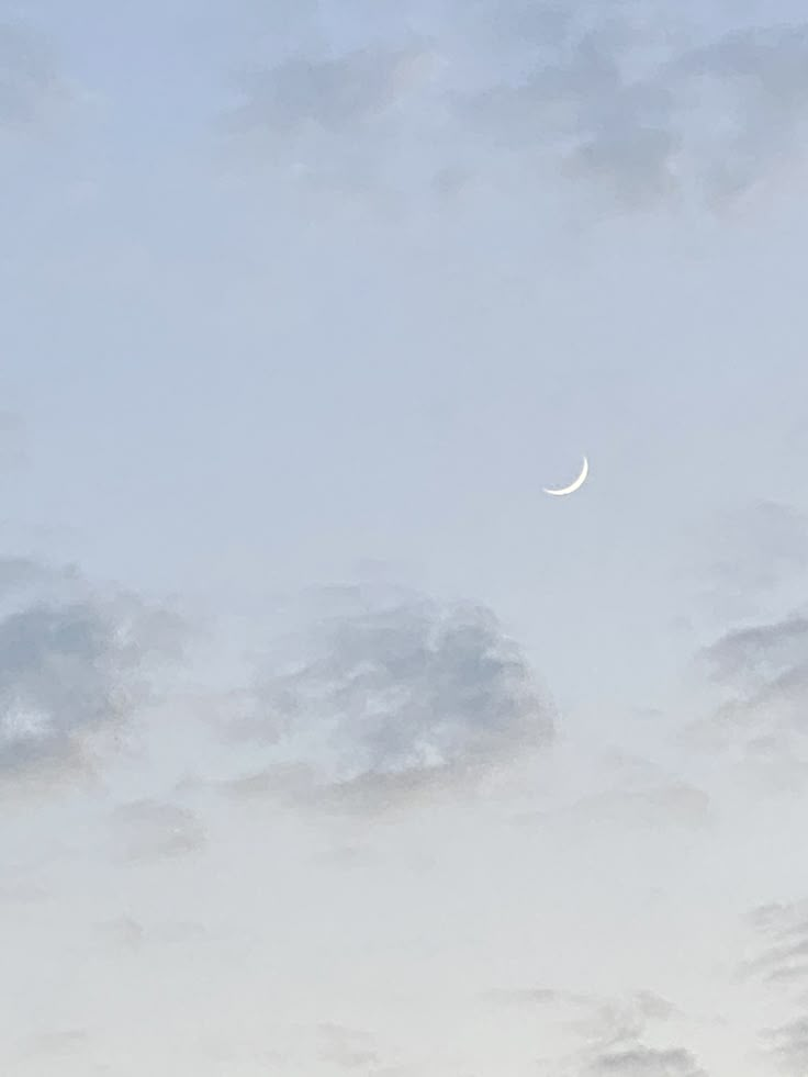 an airplane flying in the sky with a half moon