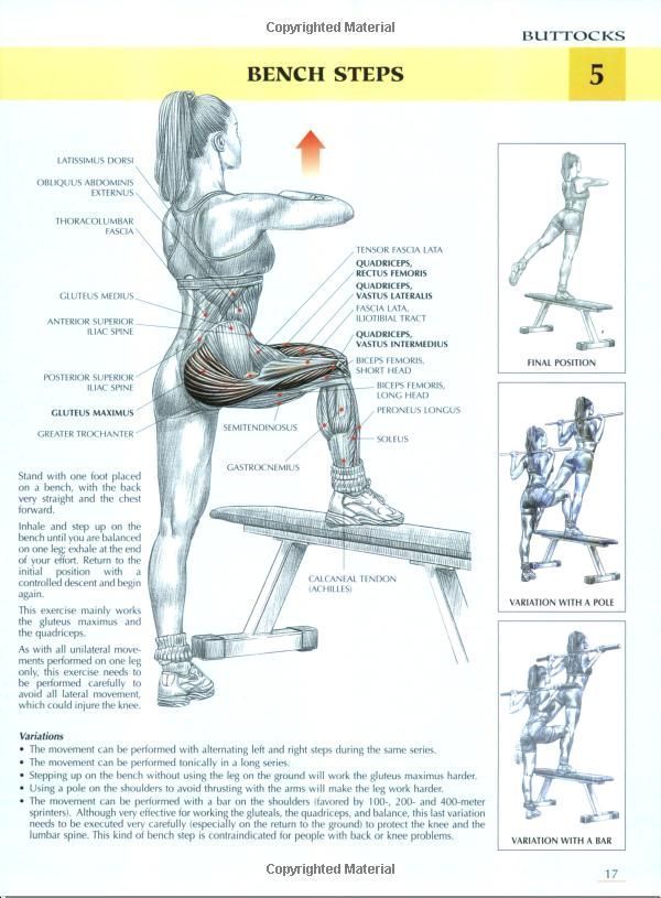 the back view of a woman doing squats on a bench with instructions for how to do