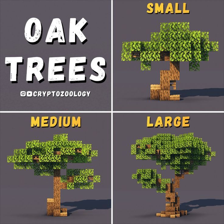 four different types of trees with the words oak trees below them