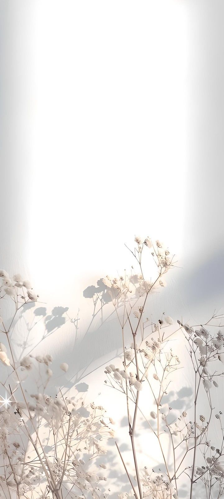 the sun shines brightly on some white flowers and branches in front of a gray background