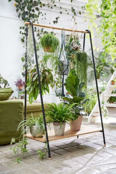 an indoor plant stand with plants on it