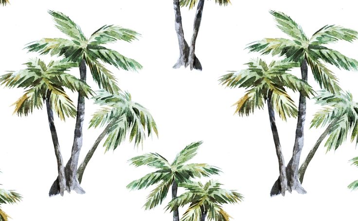 watercolor palm trees on a white background