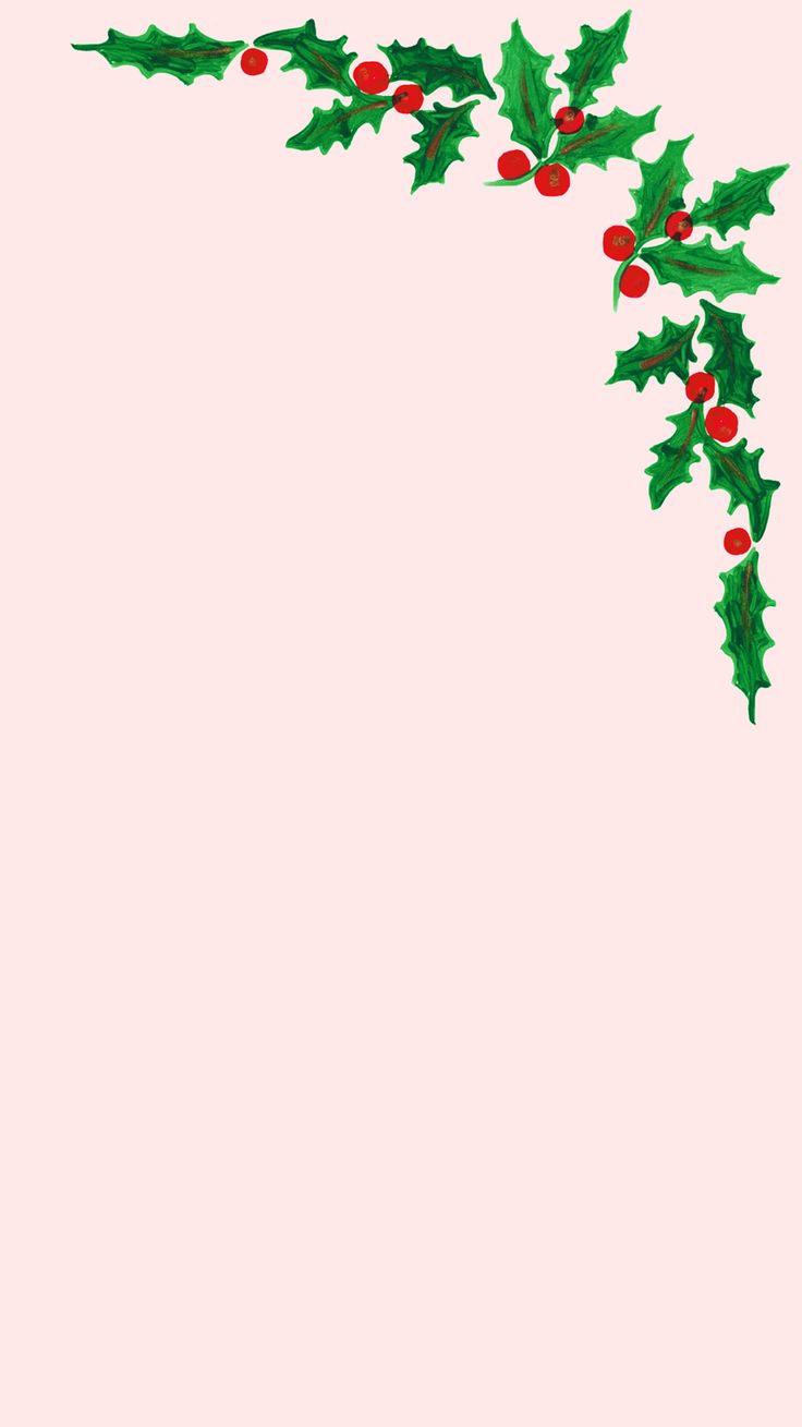 a christmas card with holly leaves and red berries on pink background, for holiday greetings