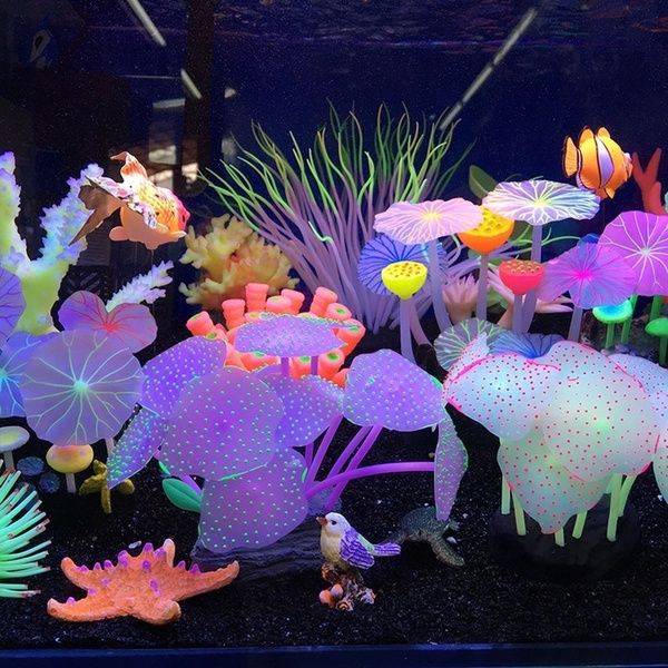 an aquarium filled with lots of different types of sea animals and corals in it