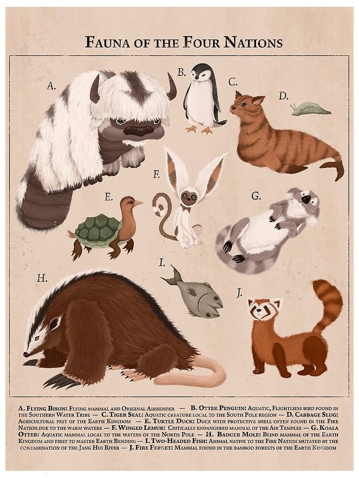 an animal poster with different types of animals