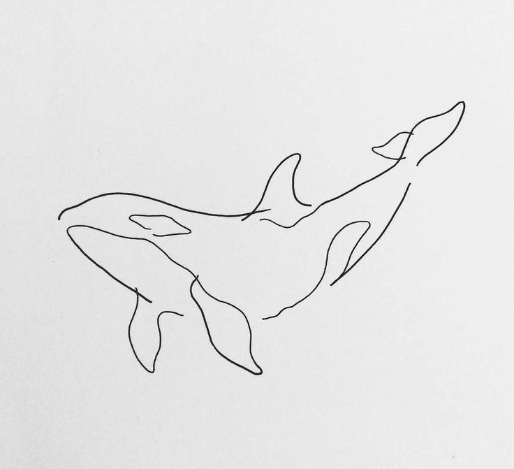 a black and white drawing of an orca whale