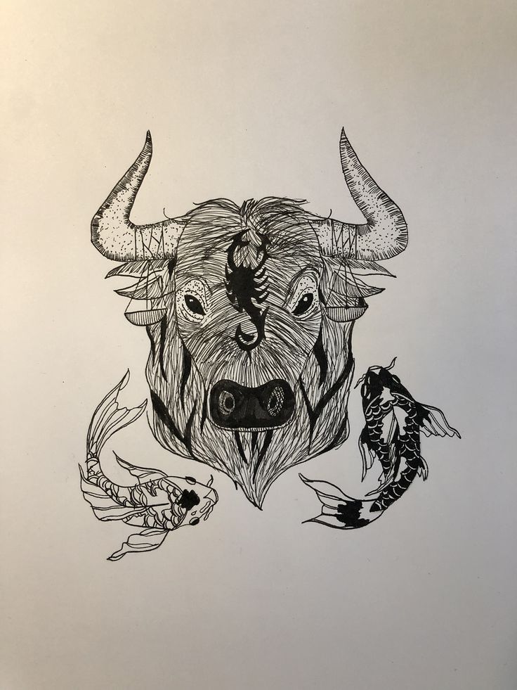 a drawing of a bull with horns and fish