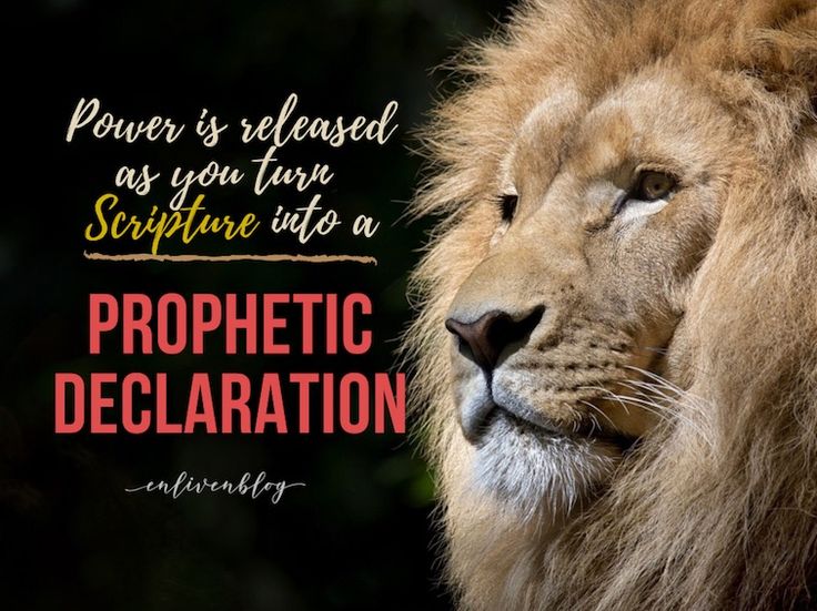 an image of a lion with a quote on it