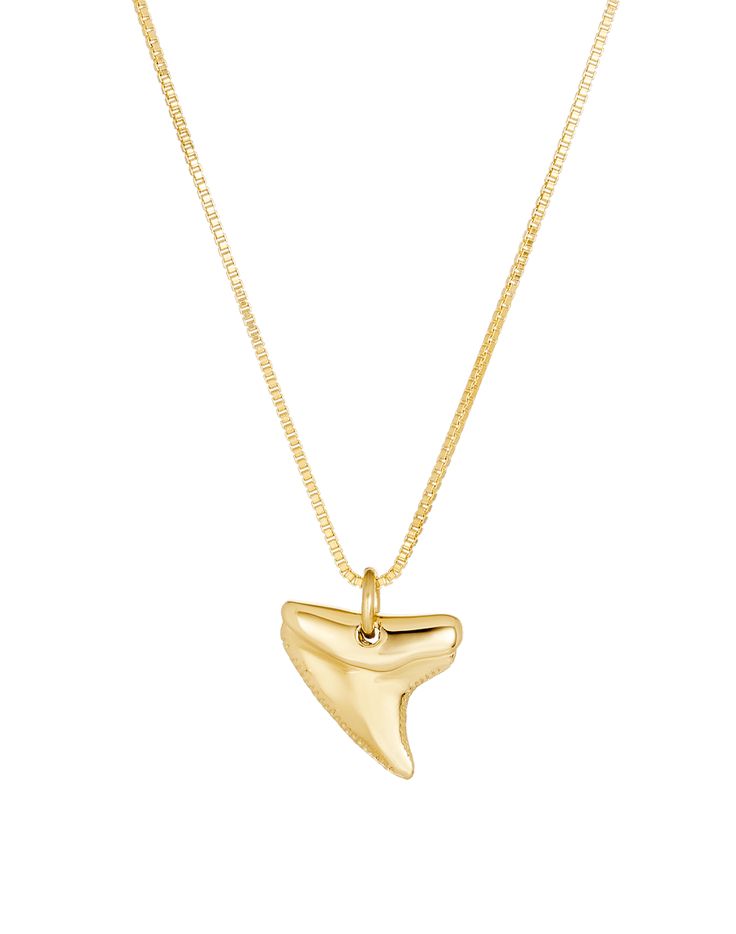 Shark Tooth Necklace | James Michelle Jewelry Dainty Shark Tooth Necklace Real Gold, Dainty Shark Tooth Necklace Smile The Ocean, Gold Sterling Silver Curb Chain Necklace, Classic Polished Chain Necklace Gift, Classic Polished Chain Necklace As Gift, Classic Polished Chain Necklace For Gift, Classic Chain Necklace With Polished Finish For Gift, Yellow Gold Sterling Silver Box Chain Necklace, Gold Polished Sterling Silver Chain Necklace