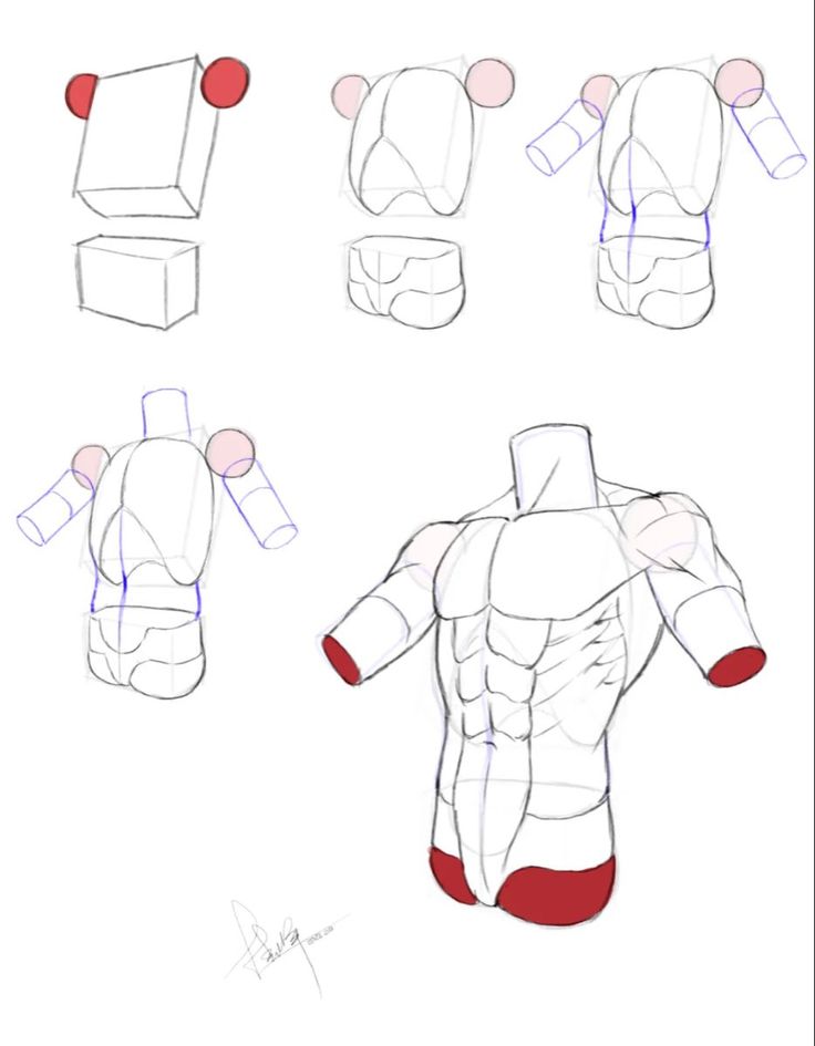 how to draw an arm and chest in 3 easy steps