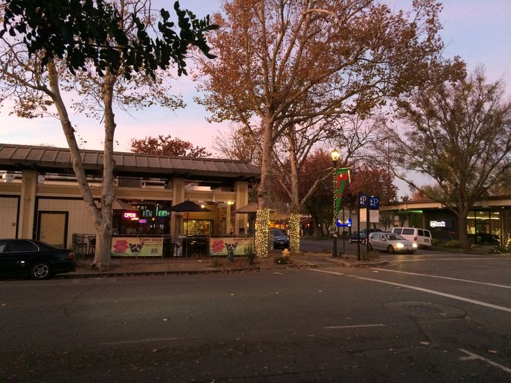 an empty street at dusk with cars parked on the curb and trees in front of it