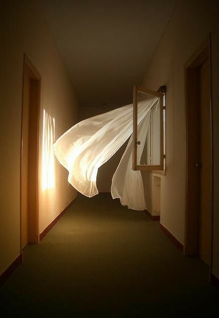 an open door leading to a hallway with curtains blowing in the wind