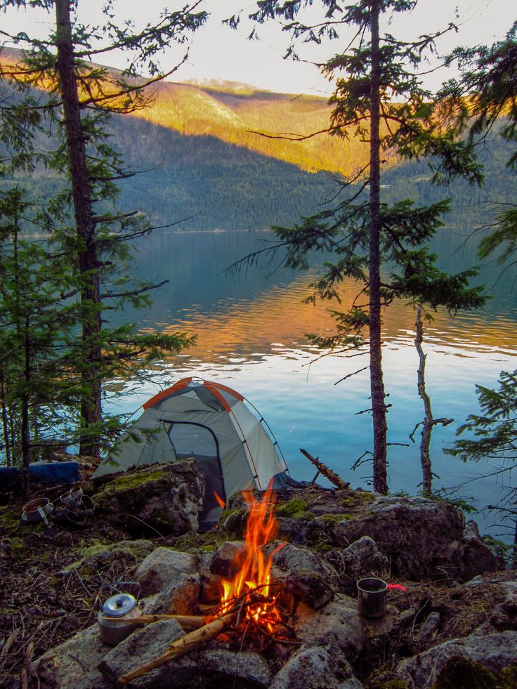 there are many pictures of camping in the woods, including trees and firepits