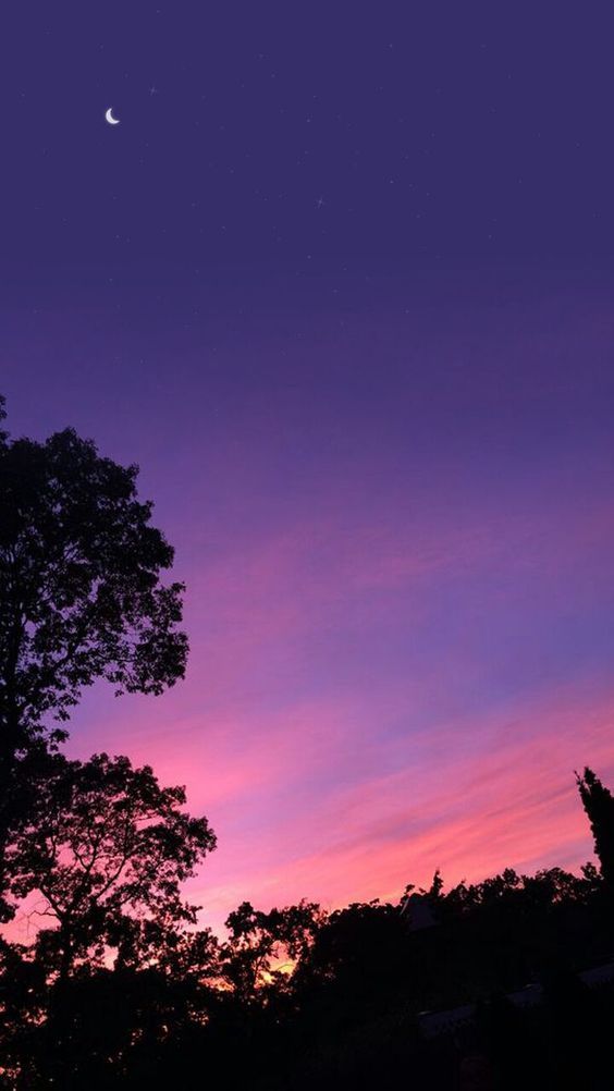 the sky is purple and pink as the sun goes down in the distance, with trees silhouetted against it