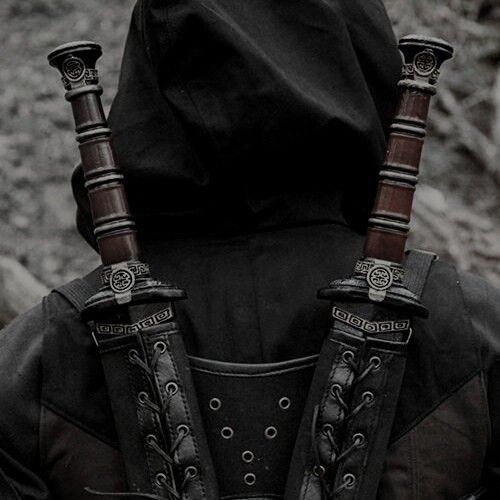 a person in a black hood with two swords attached to their back, standing near some rocks