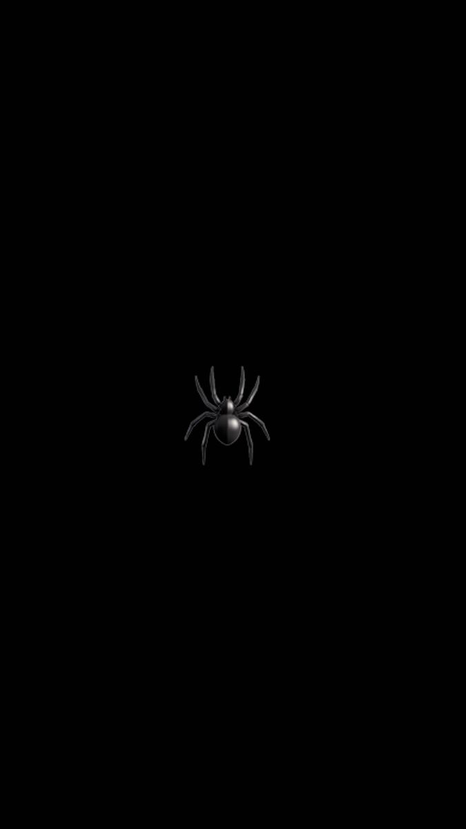 a black spider in the dark with its eyes open