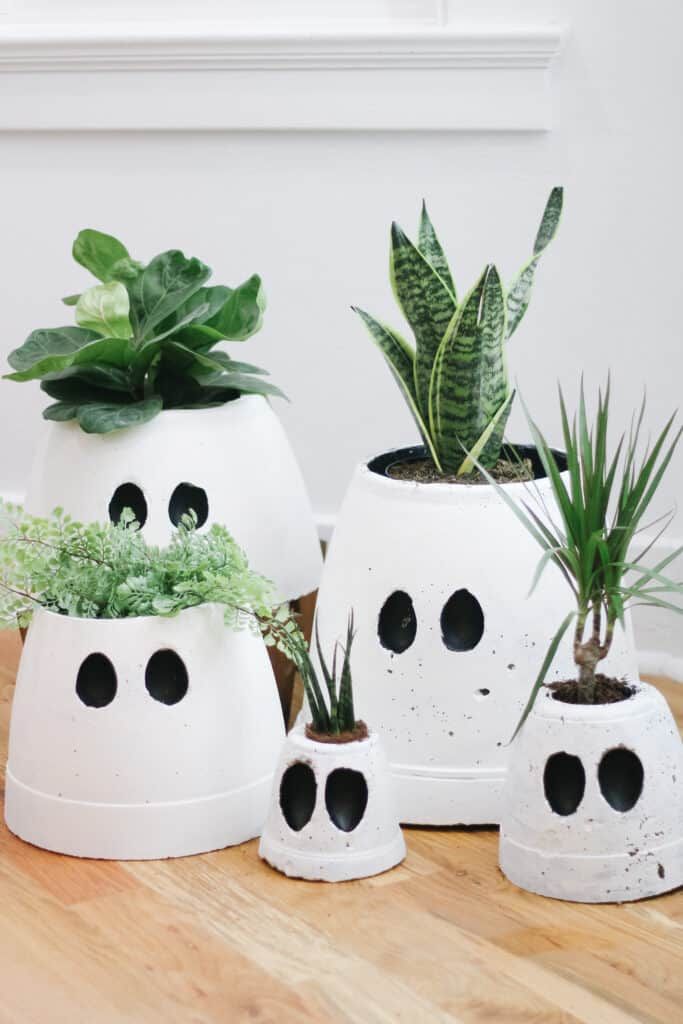 three white pots with plants in them sitting on a wooden table next to each other