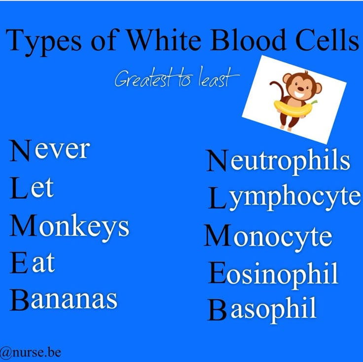 three types of white blood cells are shown in this graphic above the words, never let monkeys eat bananas