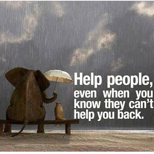 an elephant sitting on a bench with an umbrella over its head and the words help people, even when you know they can't help you back