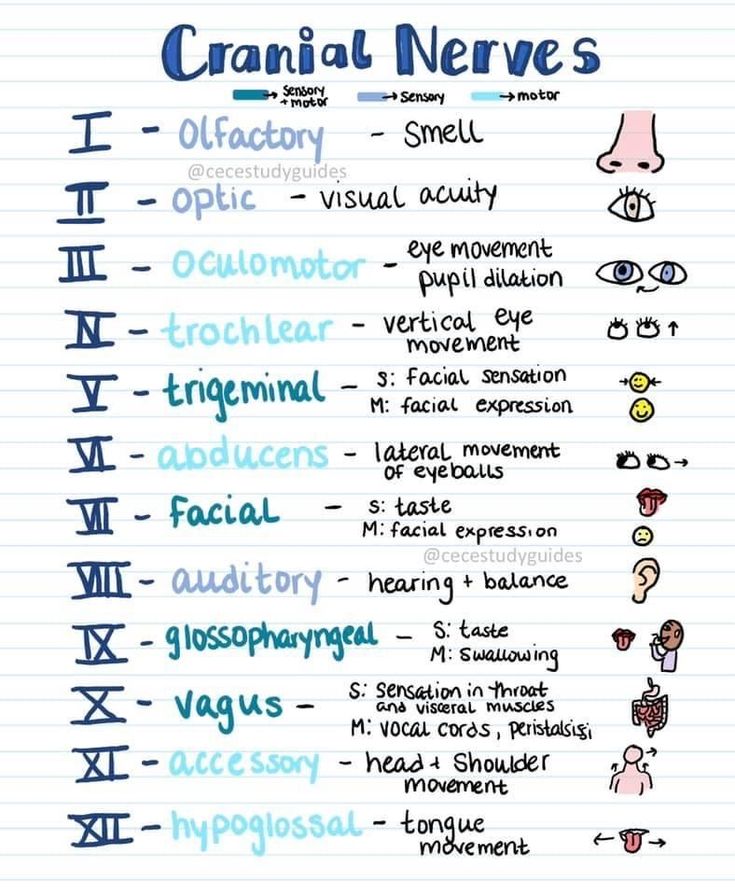 a handwritten chart with words and pictures on it