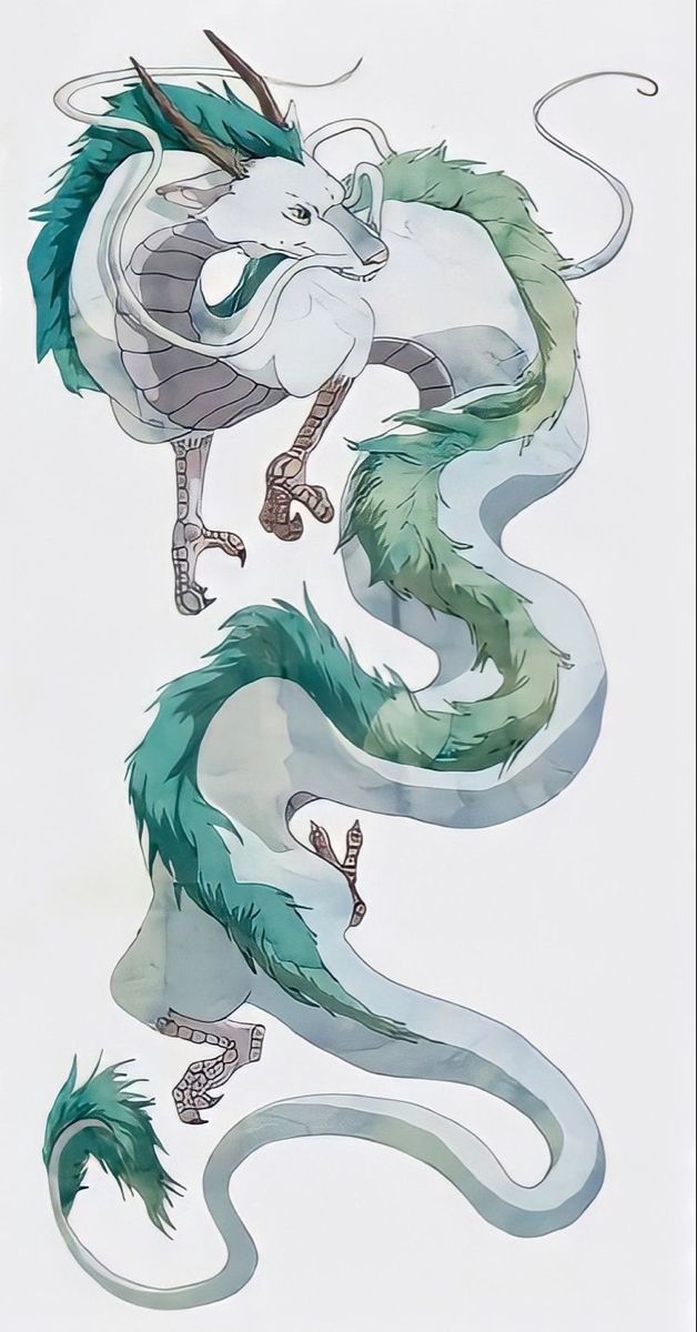 two green and white dragon drawings on a white background