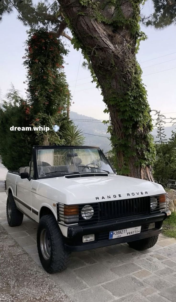 a white truck parked next to a tree