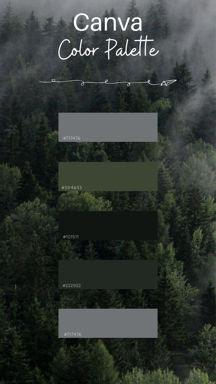 an aerial view of trees and fog in the distance with text that reads canva color palette