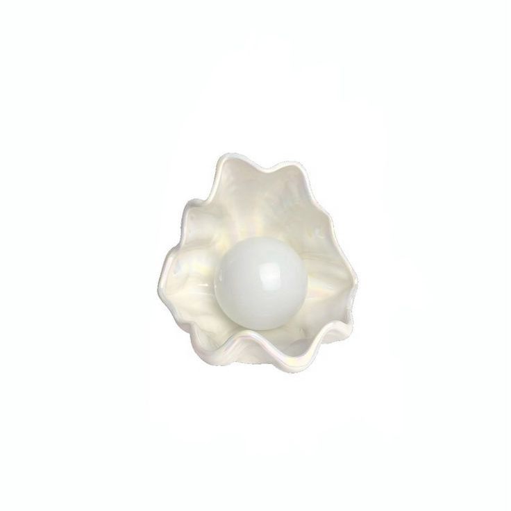 an egg in a shell on a white background