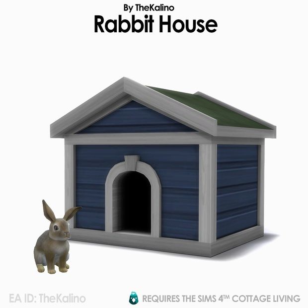 the rabbit is standing in front of the dog house