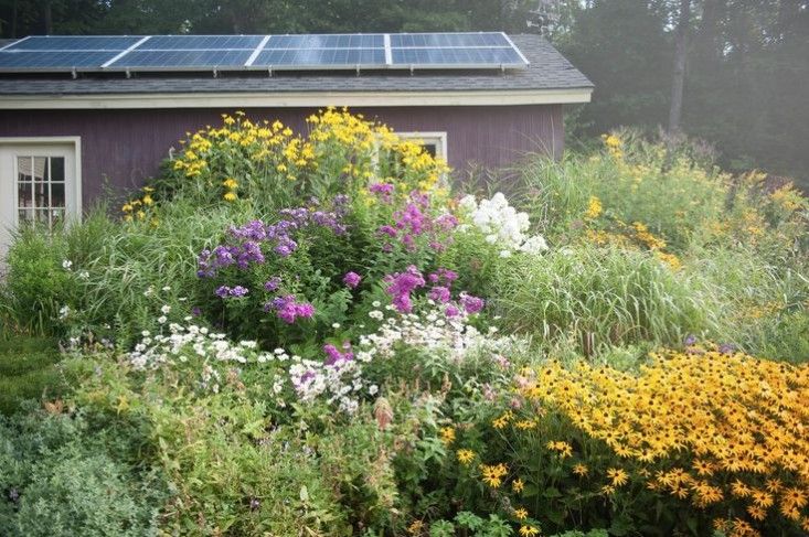 a garden with flowers, plants and a solar panel on top of the house's roof