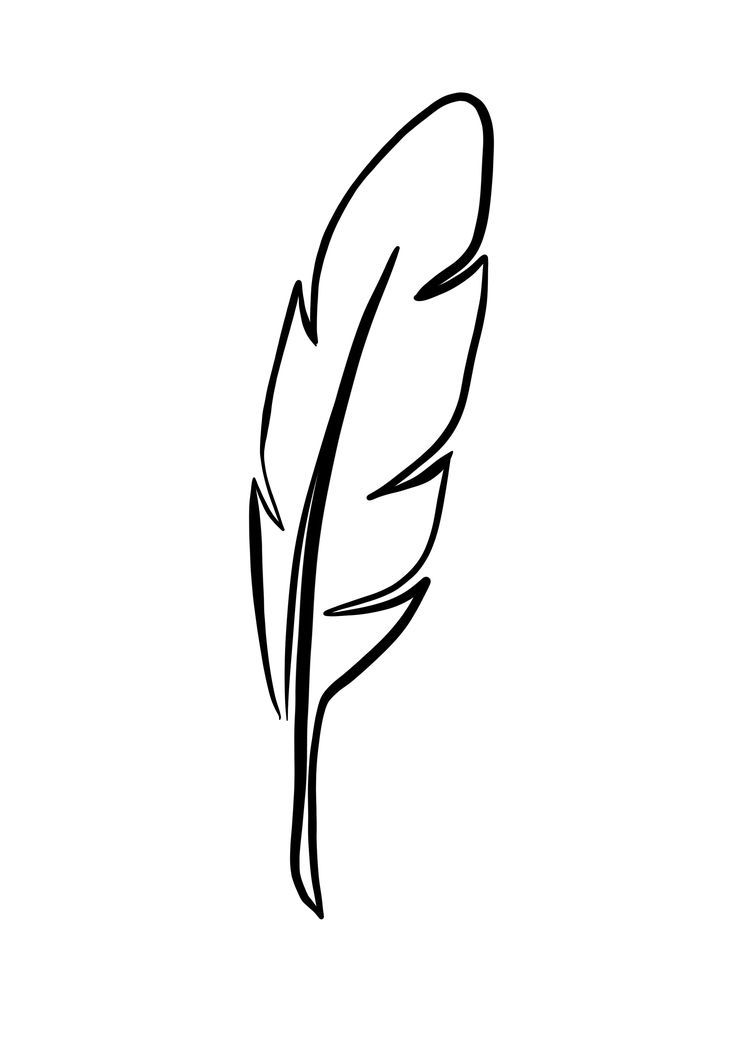 a black and white drawing of a feather