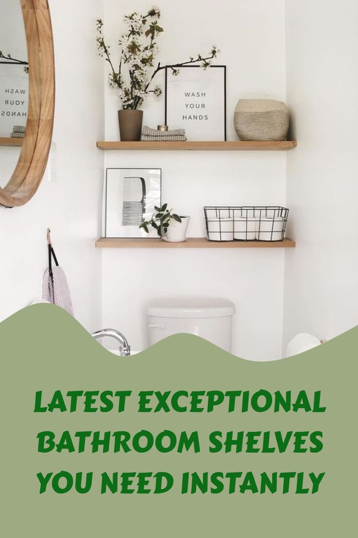 a bathroom with shelves and plants on the wall