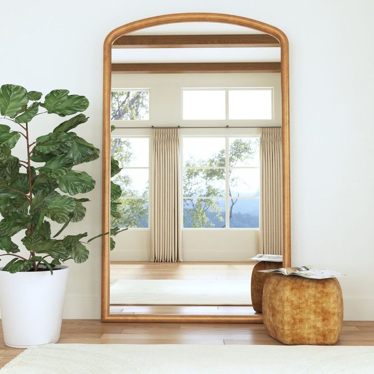 a large mirror sitting on top of a wooden floor next to a potted plant