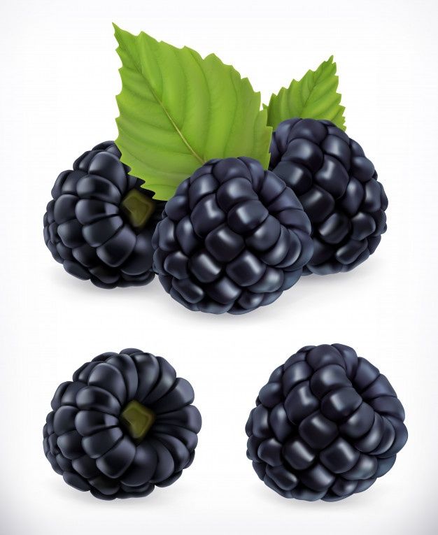 black raspberries with green leaves on the top and bottom, set of three