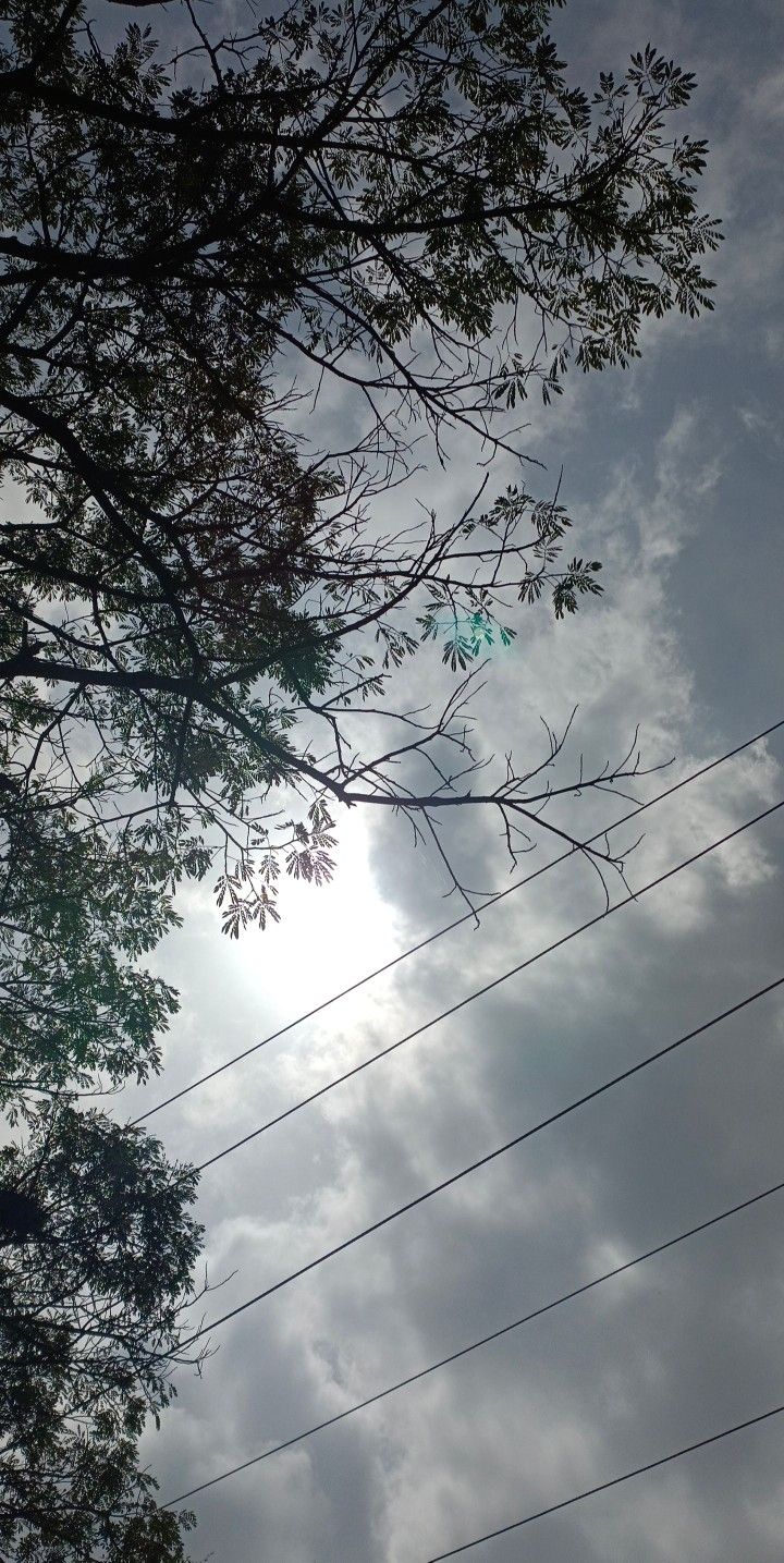 there is a kite flying high in the sky above some power lines and trees on a cloudy day