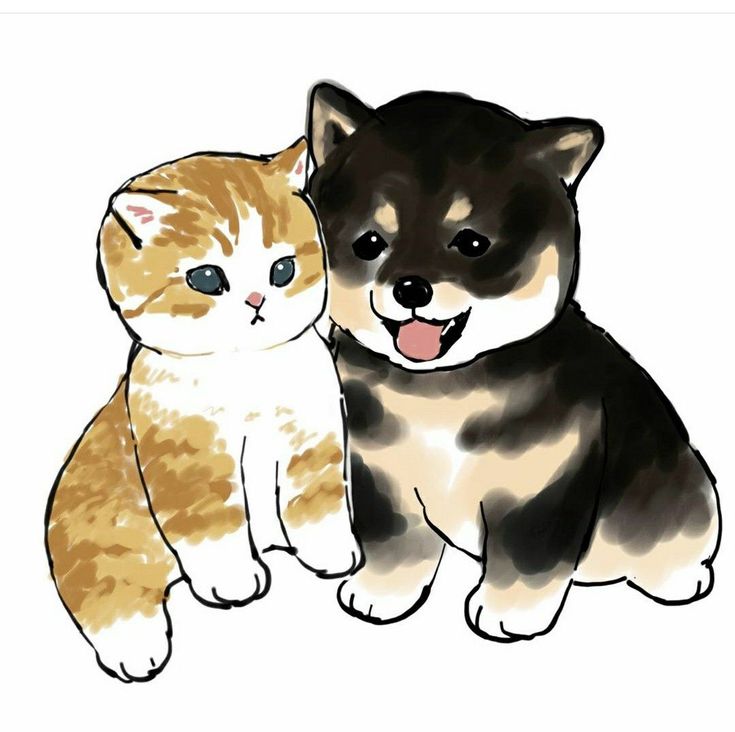 two cats sitting next to each other on a white background