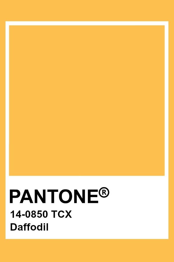 the pantone color is shown in yellow