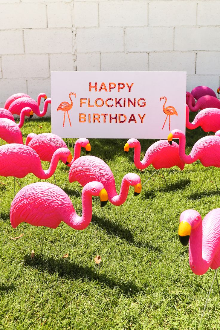 pink flamingos in the grass with a sign saying happy flocking birthday