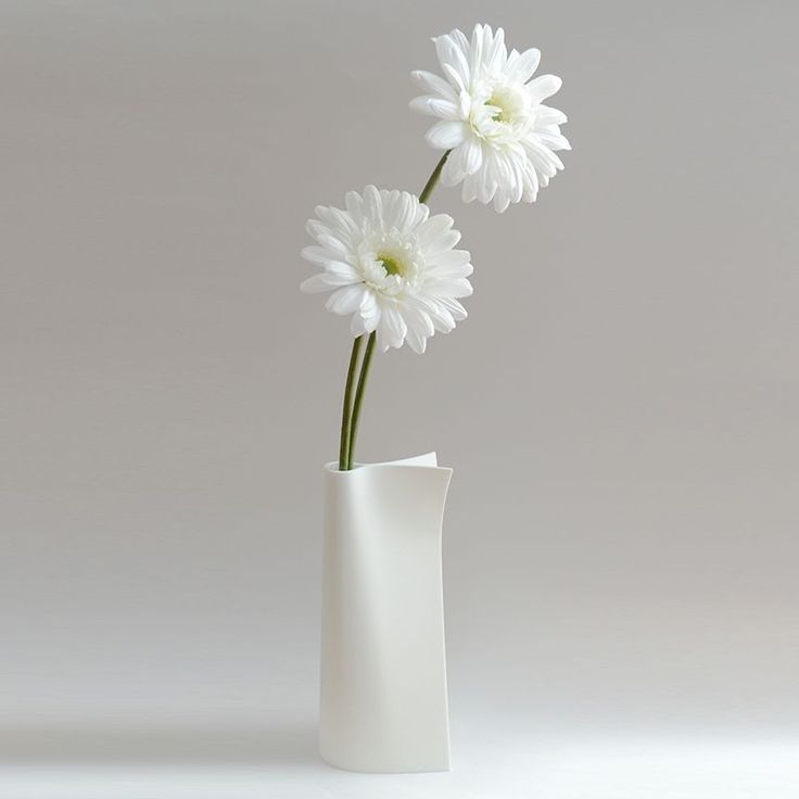 two white daisies in a white vase on a gray background, with room for text