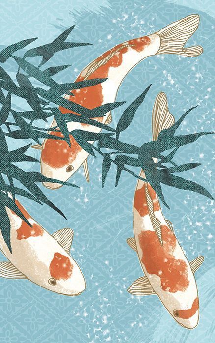 two orange and white koi fish swimming next to each other in the blue water