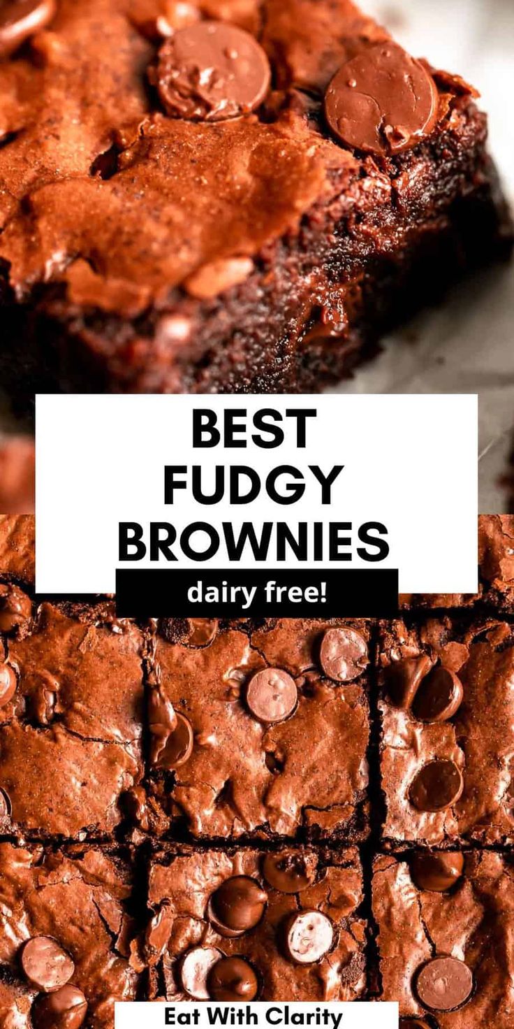 brownies with chocolate chips on top and the words best fudgey brownies daily free